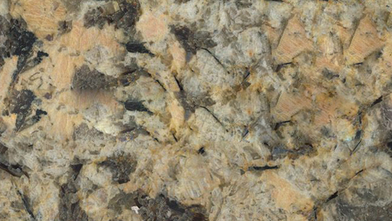 Persa Gold Granite Countertops 